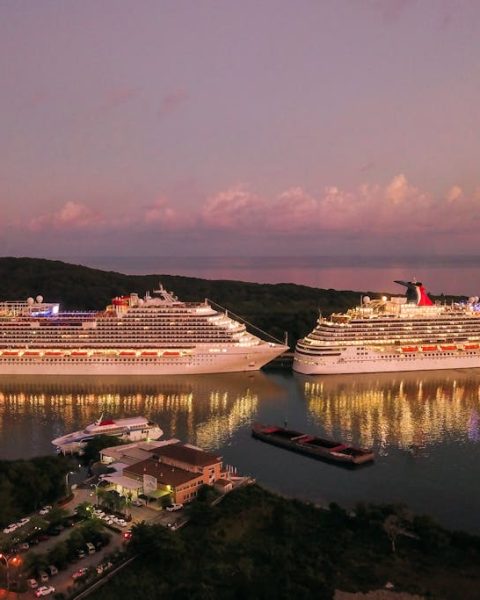 Comprehensive Guide to Senior Friendly Cruise Amenities