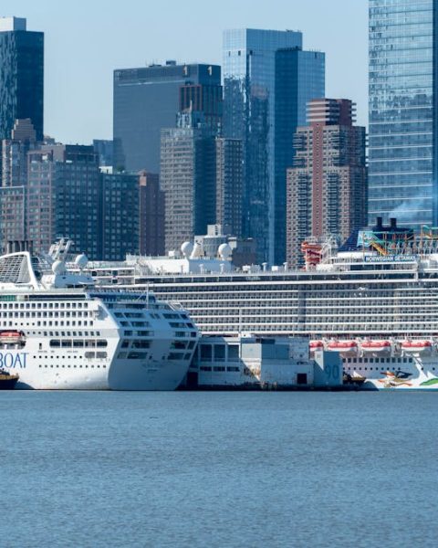 The Ultimate Guide to the Top Cruise Liners in The World