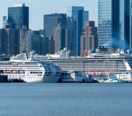 The Ultimate Guide to the Top Cruise Liners in The World