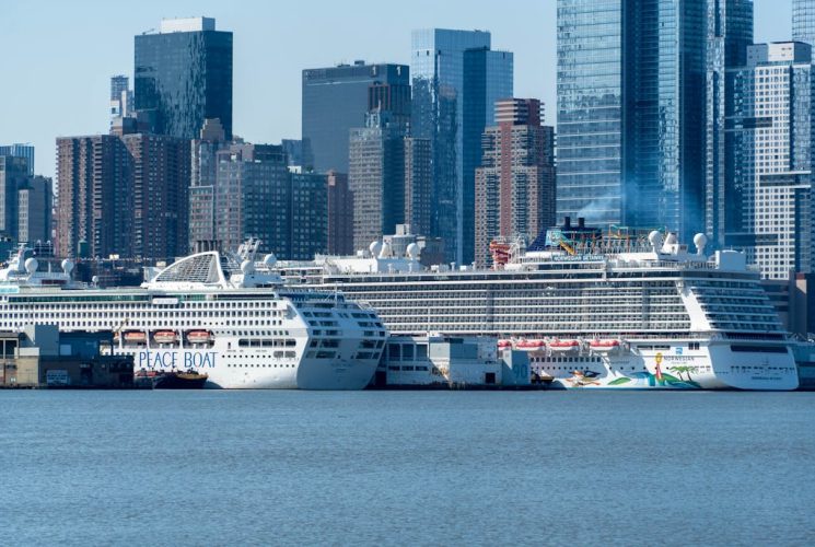 The Ultimate Guide to the Top Cruise Liners in The World